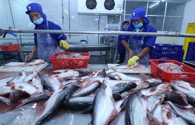 China expected to remain largest export market for Vietnamese pangasius in 2022