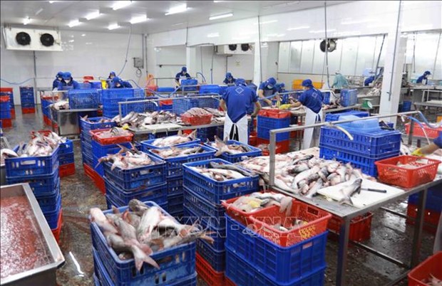 Fishery exports exceed 10 billion USD in 11 months