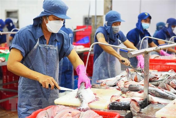 Tra fish exports post strongest growth among fishery products