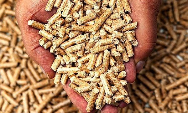 Việt Nam's wood pellet exports can fetch US$1 billion in 2023: specialist