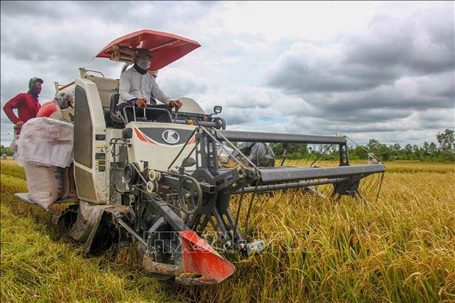 Vietnam always attaches importance to ensuring food security: Spokeswoman