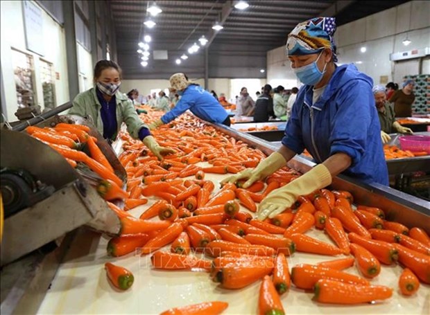 Vietnam expects more markets to open to farm produce in 2023