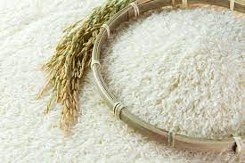 Vietnam Rice Industry Report 2022: Rice Exports are to Continue to Rise in Both Volume and Value to 2031