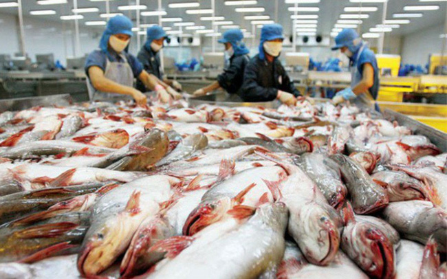 CPTPP holds potential for Vietnam’s tra fish exports