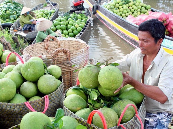 Giải pháp đưa nông sản Việt tiến sâu vào thị trường Ai Cập