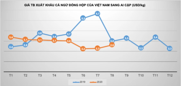 Xuất khẩu cá ngừ sang Ai Cập tăng mạnh