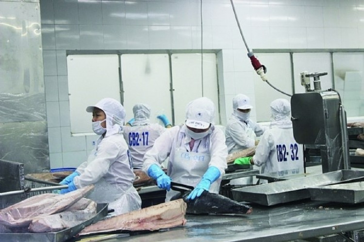 Tuna exports predicted to surge amid high inflation